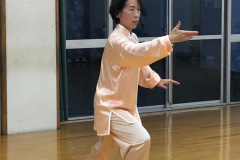 堀先生の楊式表演 2