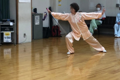 堀先生の謝公剣表演 1