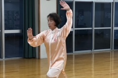 堀先生の楊式表演 1