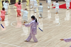 IMG_3758沖田さん-楊式剣-2