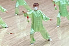 IMG_3765長谷川さん-陳式剣-1