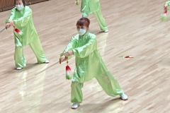 IMG_3766-1長谷川さん-陳式剣-2