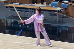 IMG_3772堀先生-楊式剣　1